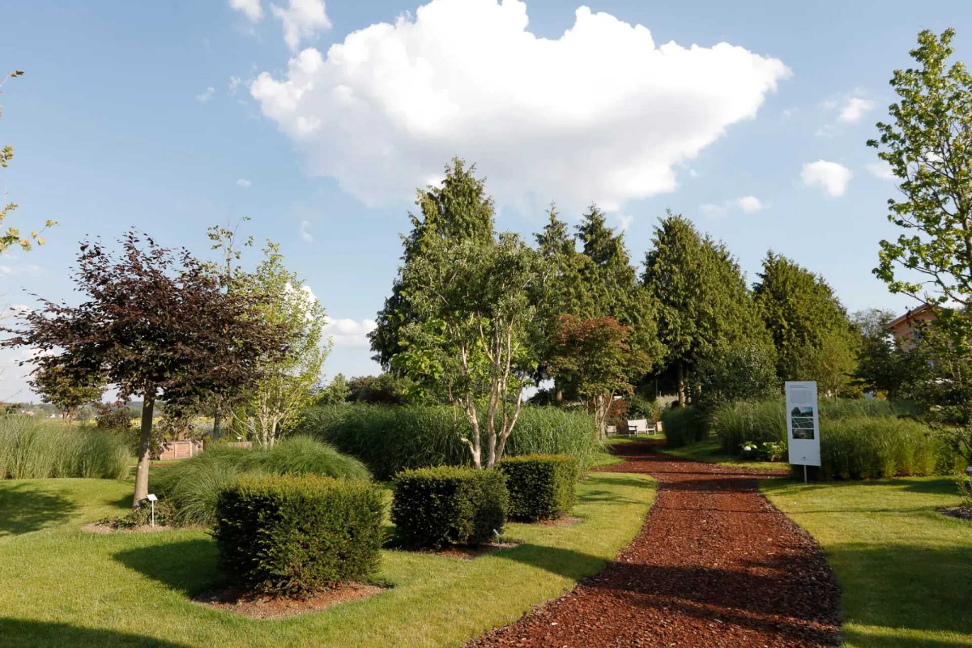 Eine Passion für Gehölze – Schaugarten