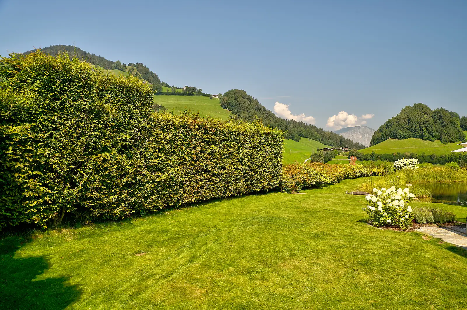 Die geschnittene Hecke schwingt sich um den Garten