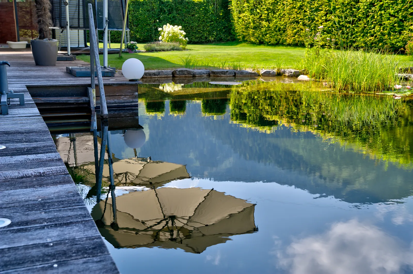 Die Sonnenschirme spiegeln sich im Wasser am Holzdeck