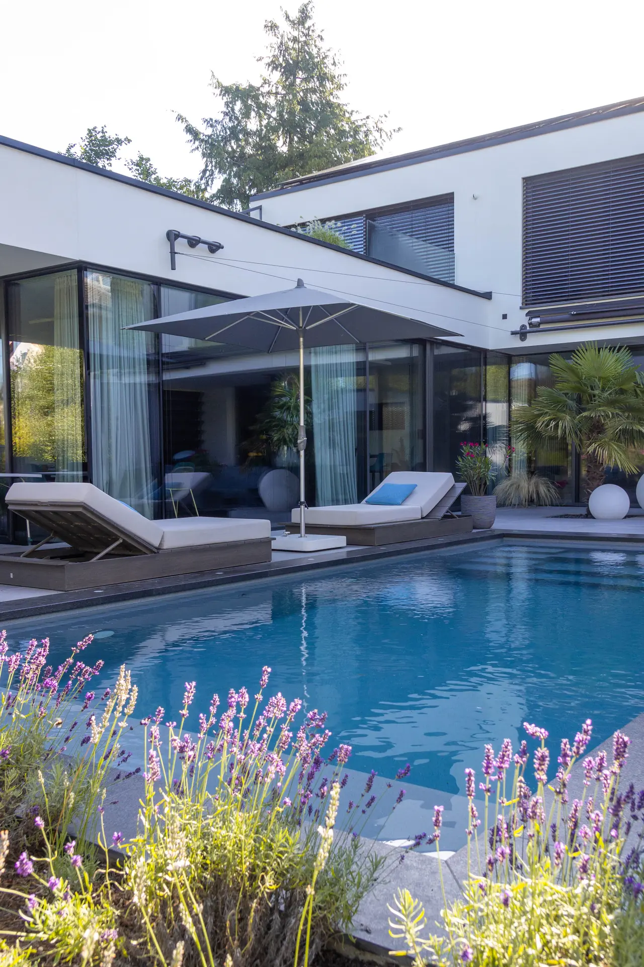 Liegen am Pool unter dem Sonnenschirm, im Vordergrund Lavendel