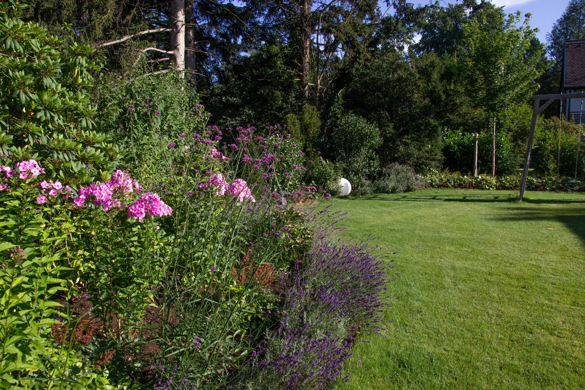 Phlox und Lavendel am Waldrand des Grundstücks