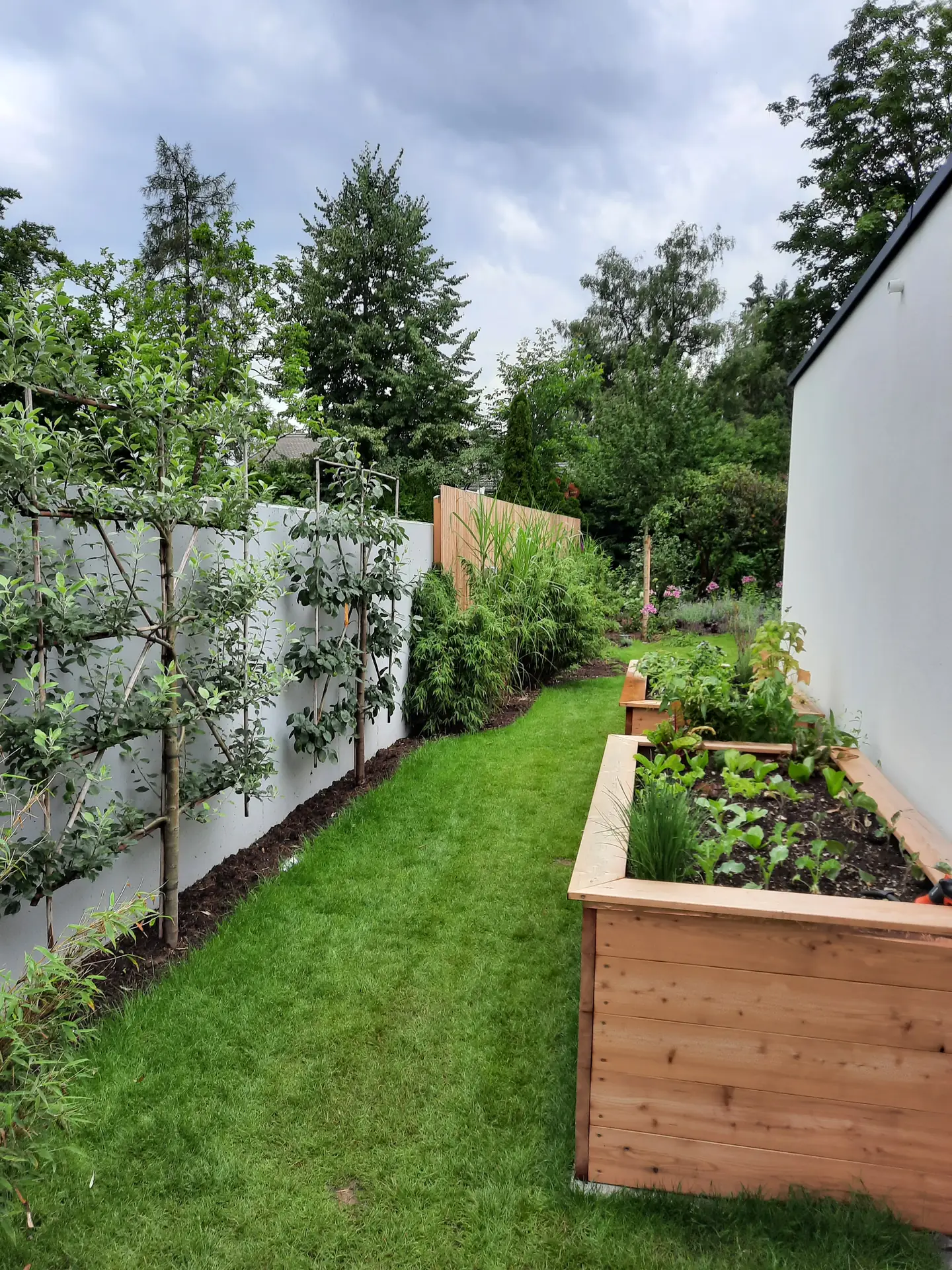 Spalierobst und Holzhochbeete aus der eigenen Schreinerei im schmalen Gartenstreifen