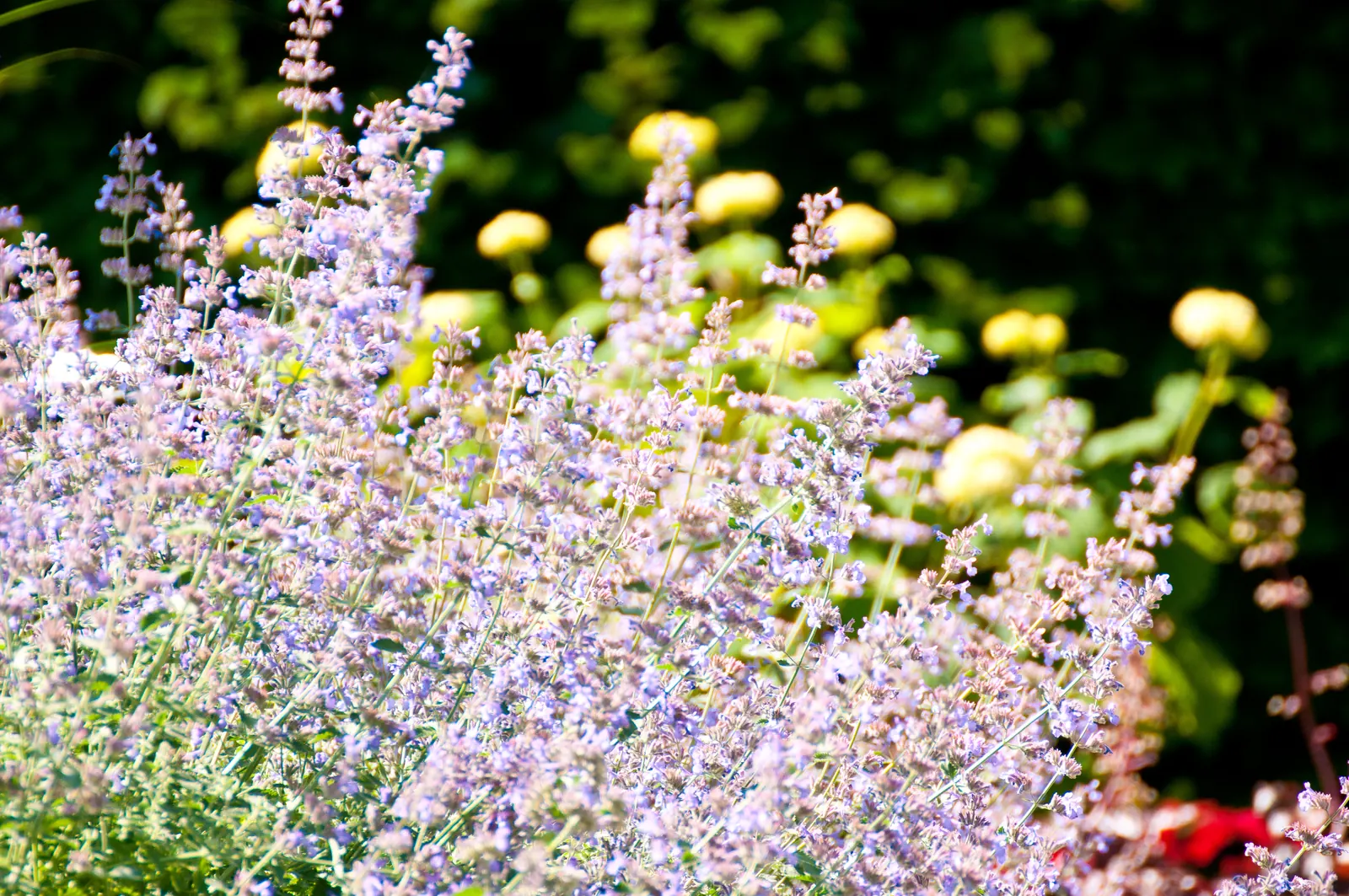Gartenbau & Gartenpflege in Holzkirchen