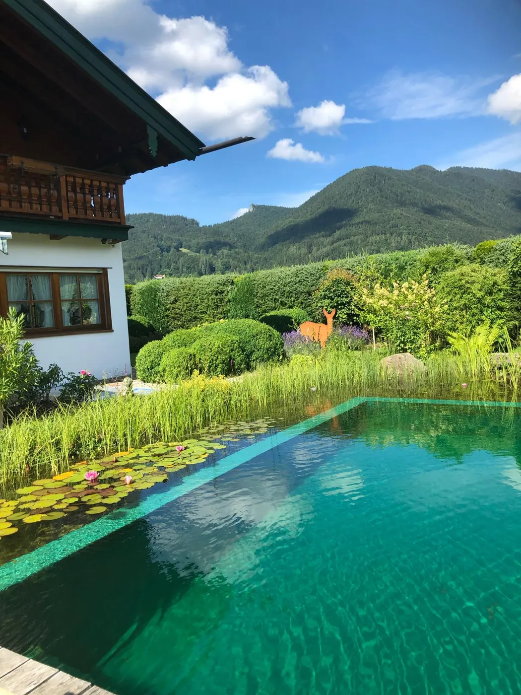 Swimming Pond mit Alpenblick