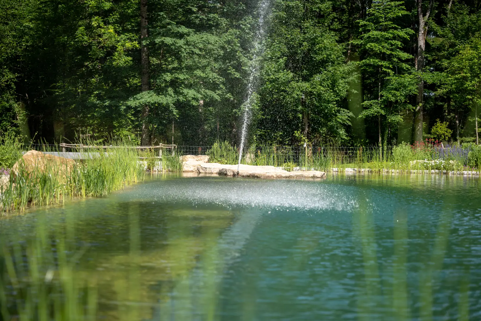 Die Fontäne steht über der Wasserfläche