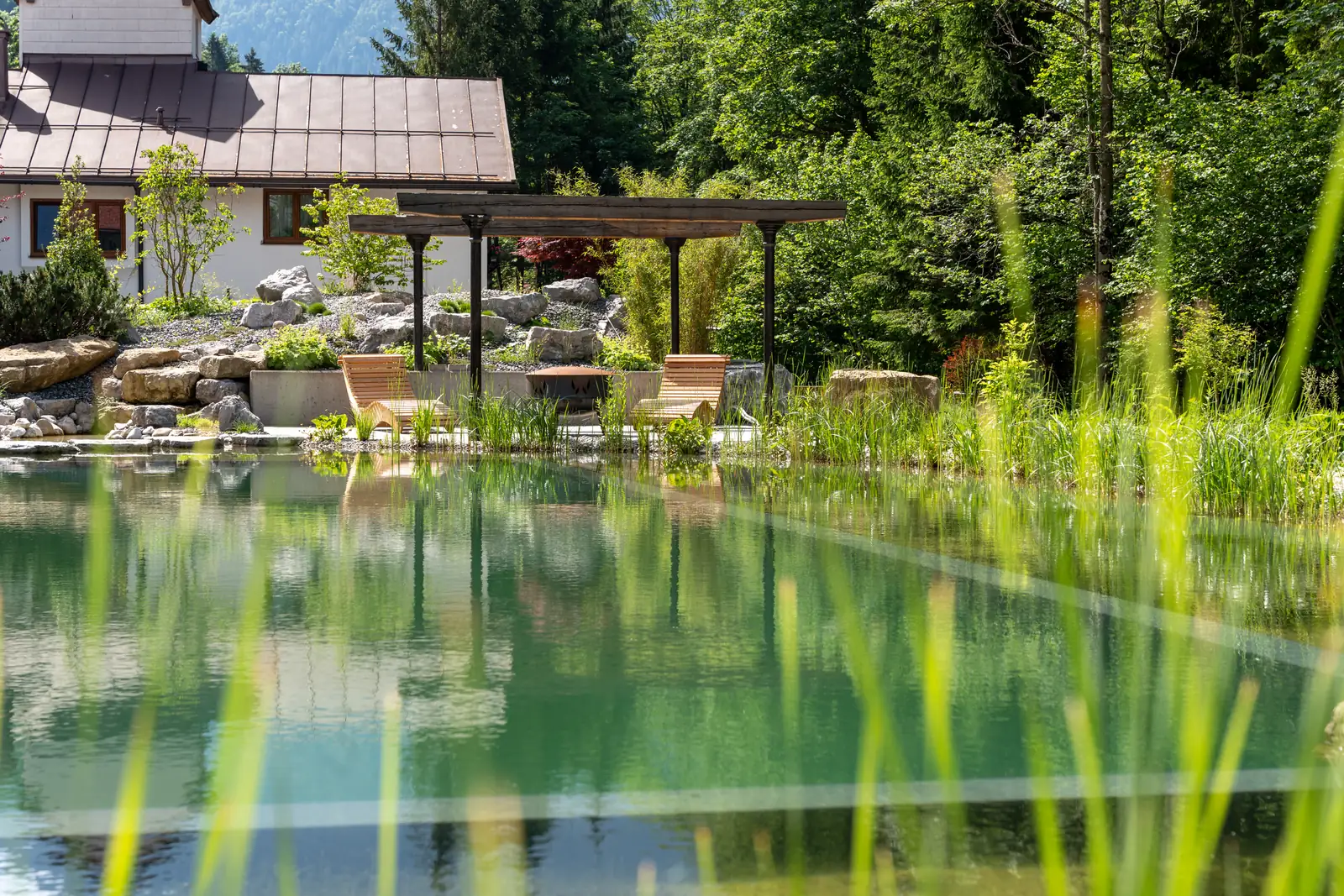Blick über die Schilfhalme auf den Schwimmbereich