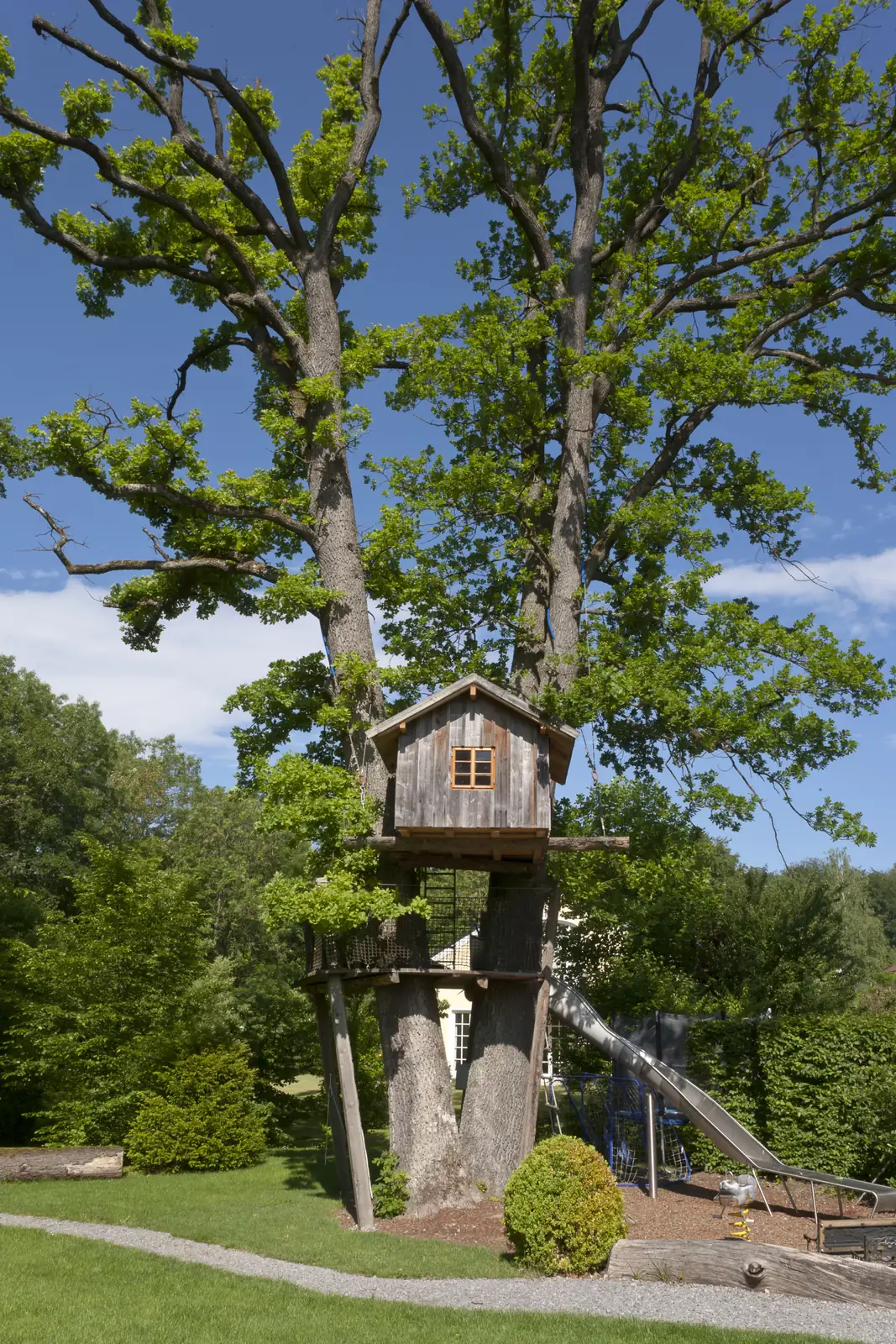 Das Baumhaus in der alten Eiche