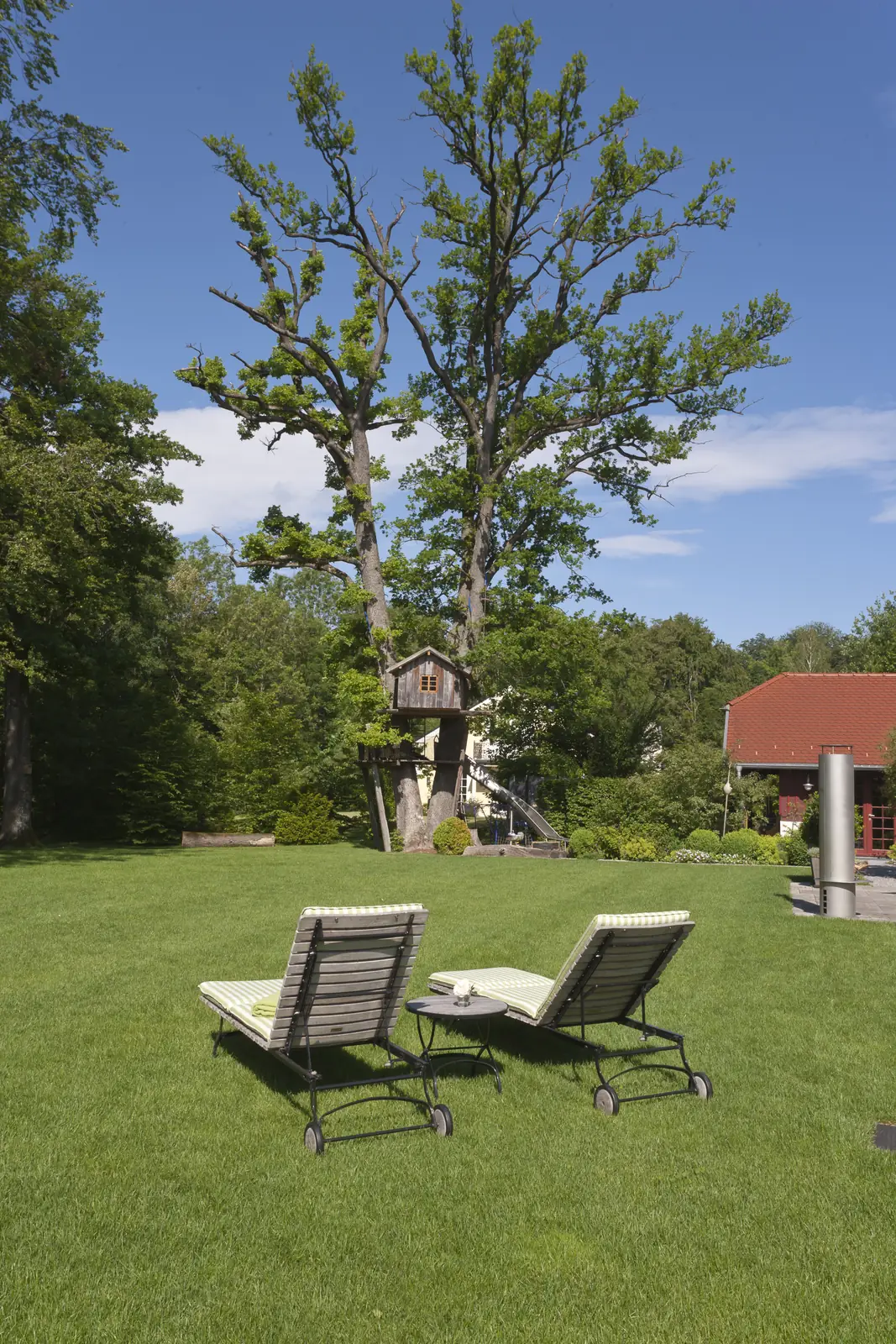 Parkwiese unter der großen Eiche, hinten das Baumhaus