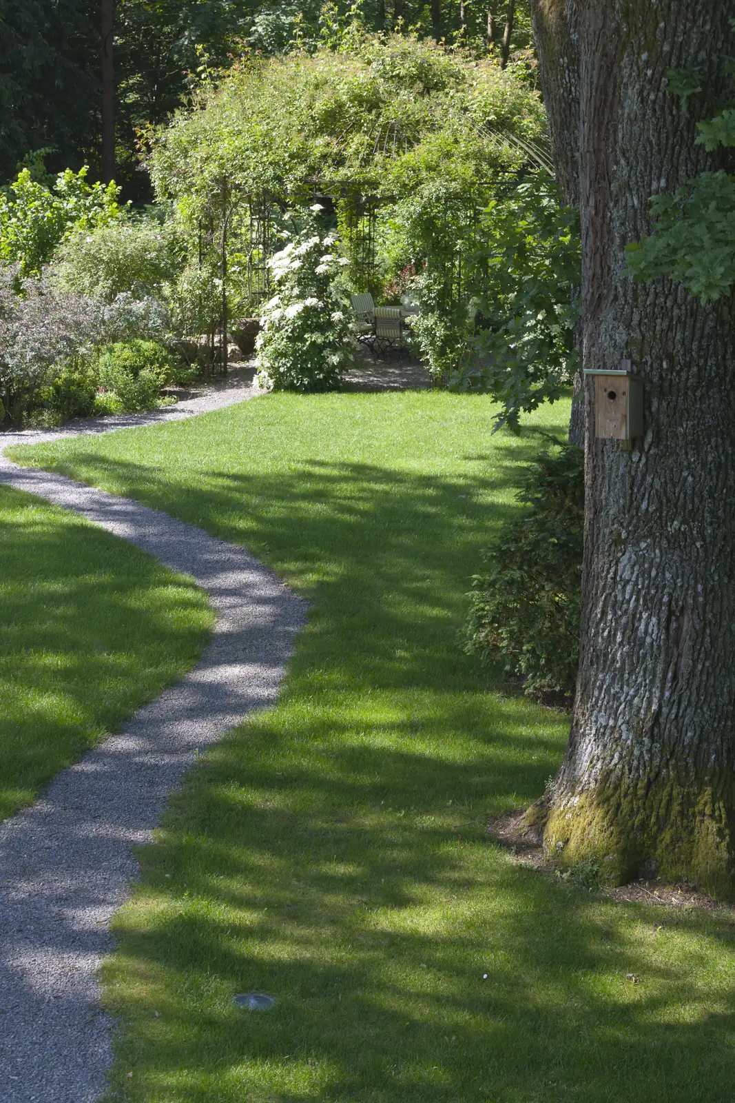 Der Weg schwingt sich unter den alten Bäumen hindurch