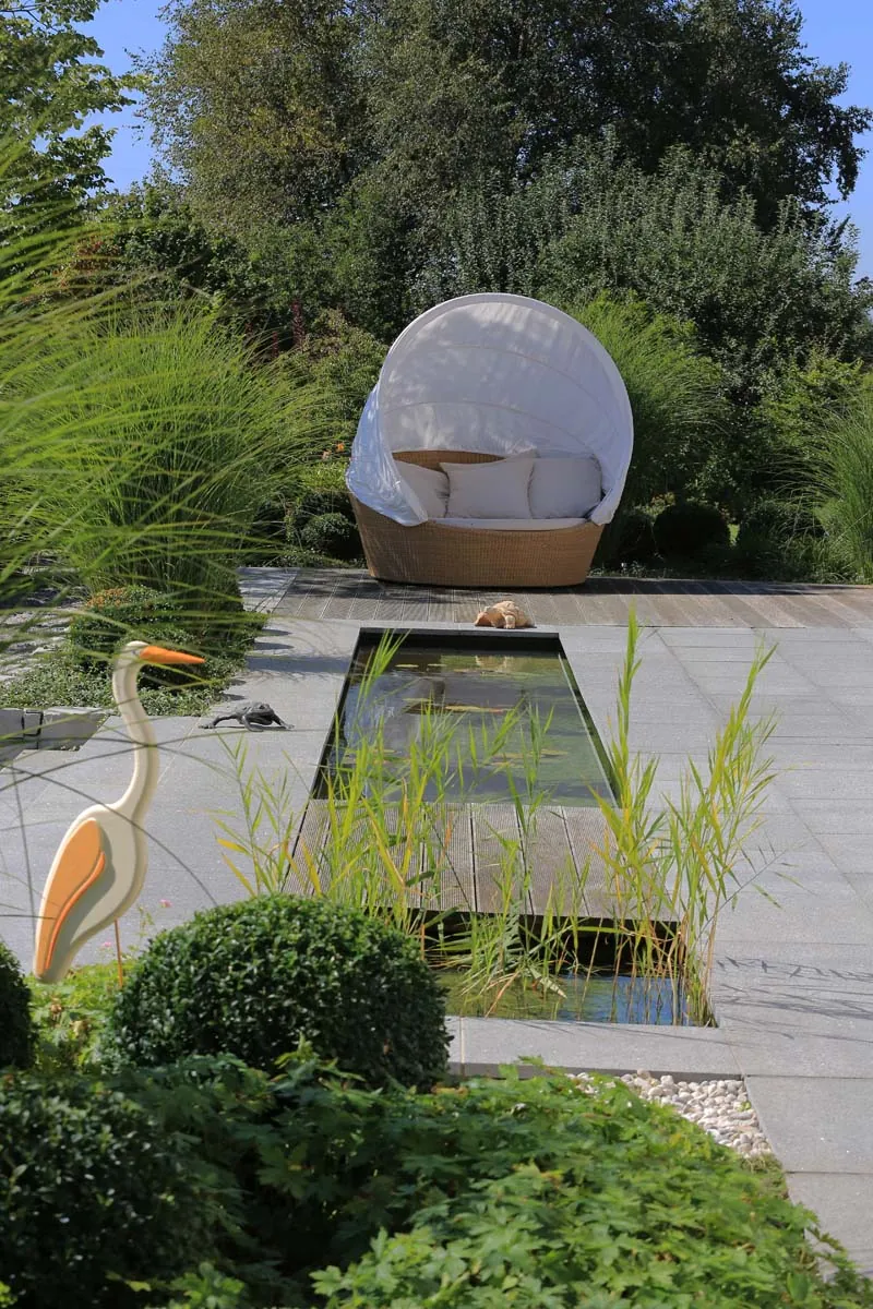 Ein Bronze-Reiher wacht am Becken, hinten die Rattankugel