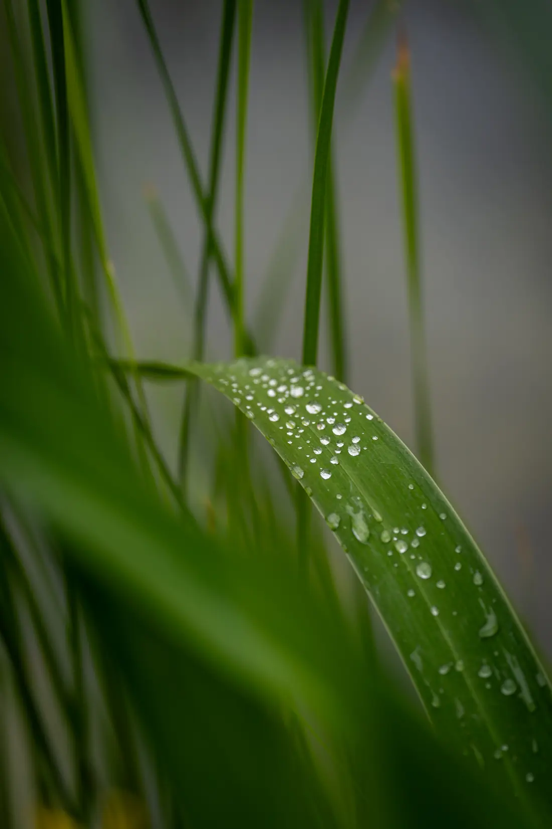 Wasserreich der Gelassenheit – Impression