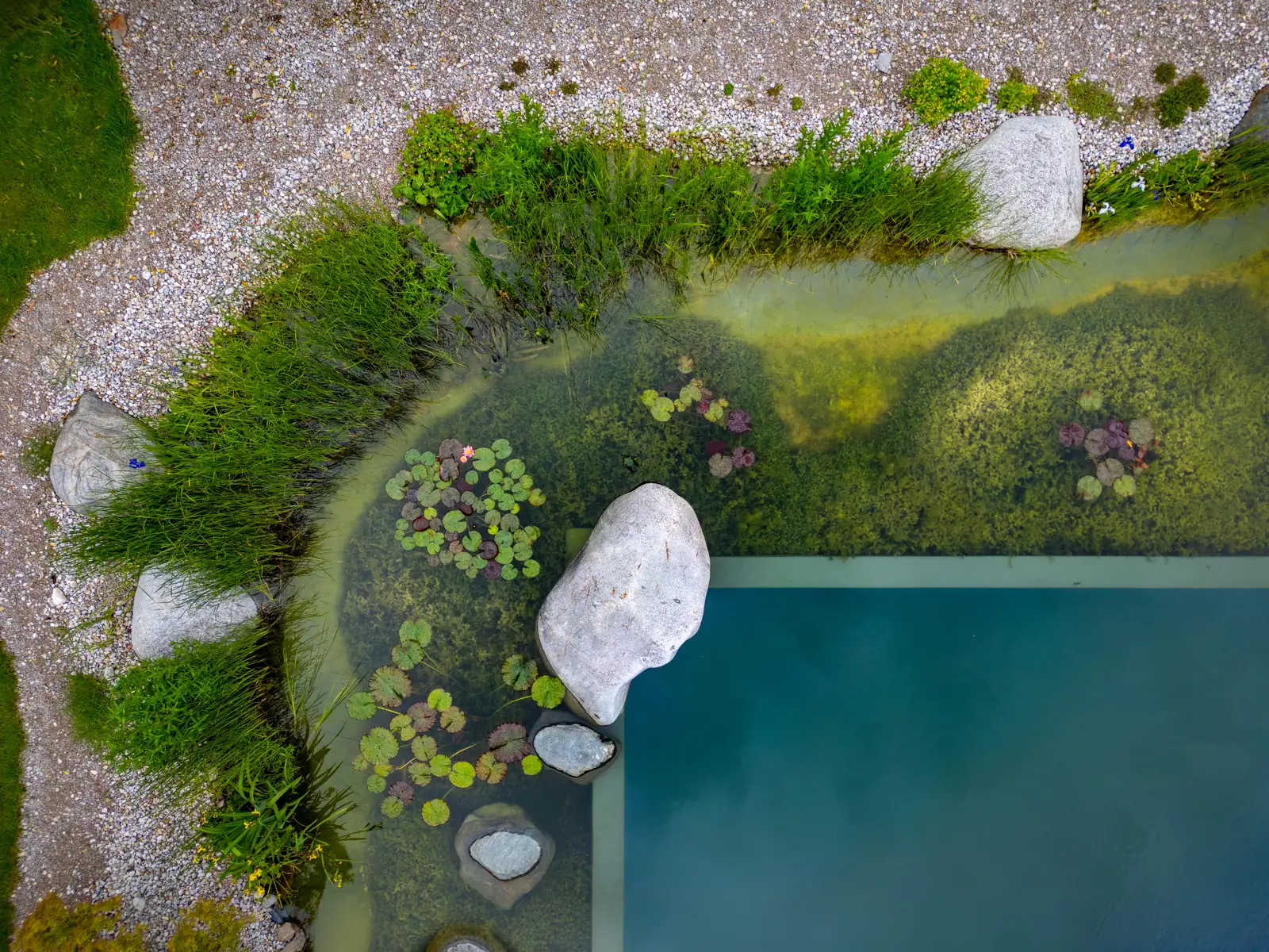 Wasserreich der Gelassenheit