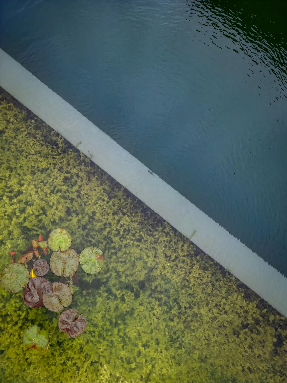 Wasserreich der Gelassenheit – Impression