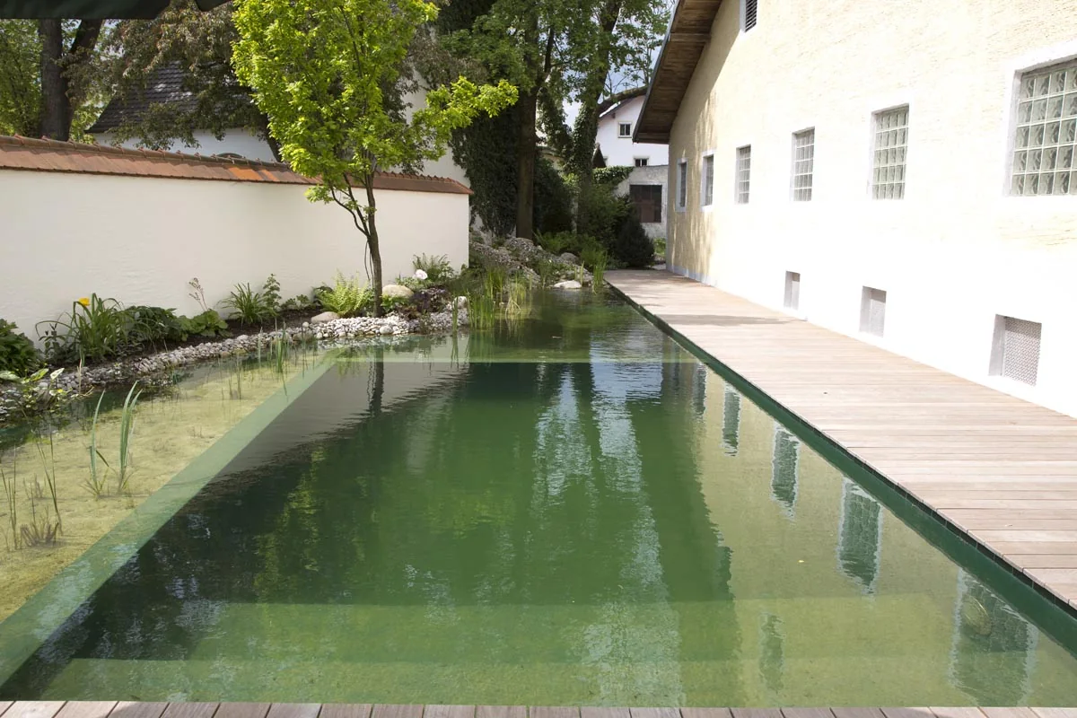 Der Swimmingpond zieht sich als schmales Becken entlang der Hofwand