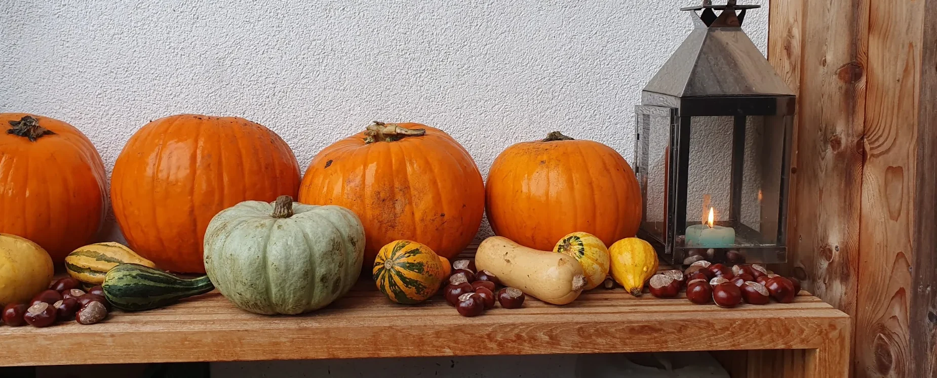Orangefarbene Speisekürbisse, ein graugrüner Kürbis, gestreifte Zierkürbisse und Kastanien auf einer Holzbank, daneben eine Laterne mit Kerze