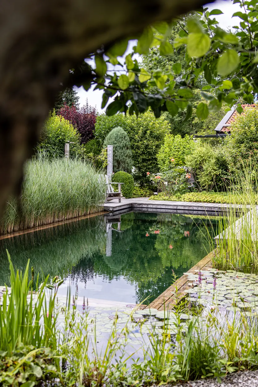 Schwimmteich