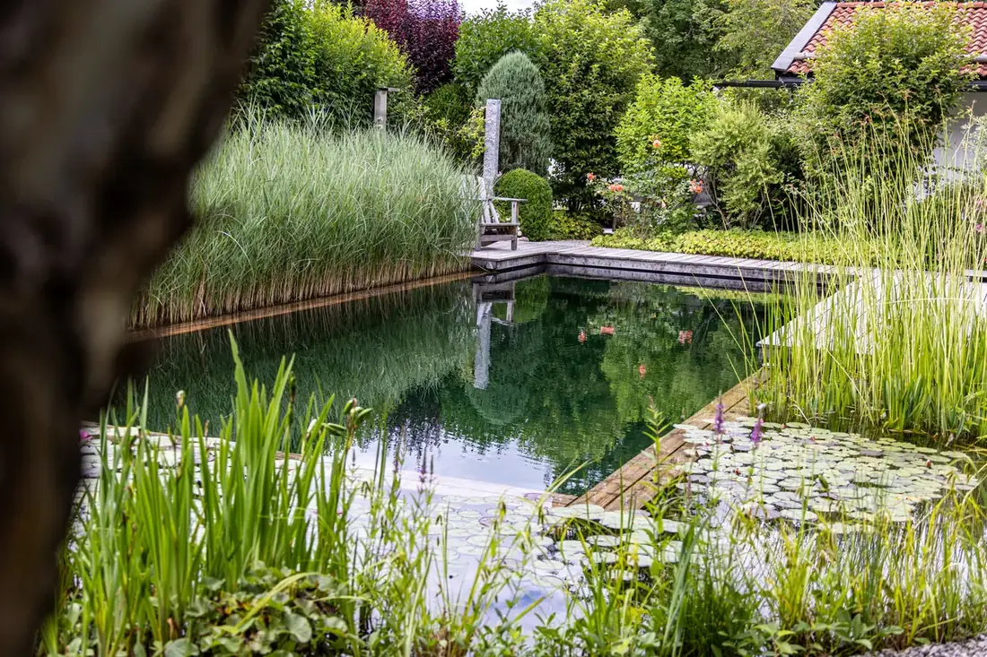 Biotop-Schwimmteich