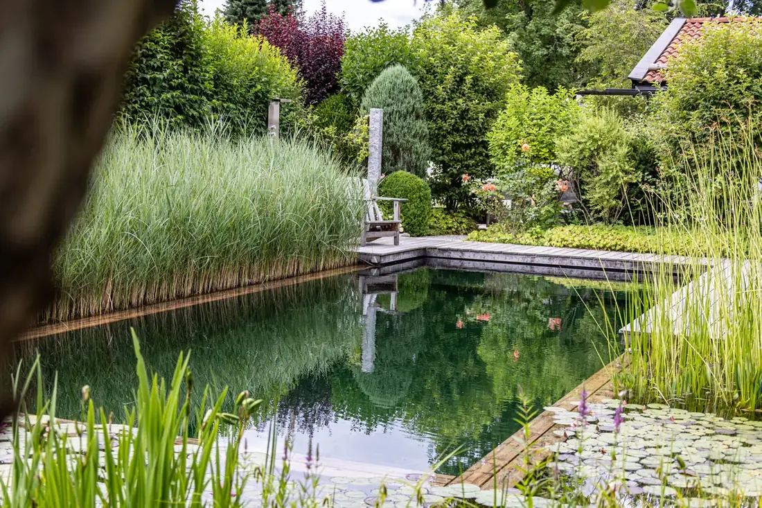 Schwimmteich bauen lassen – Swimming Pond