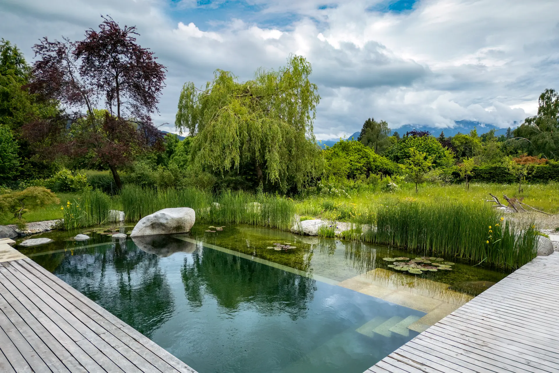 Schwimmteiche, Naturpools & Pools