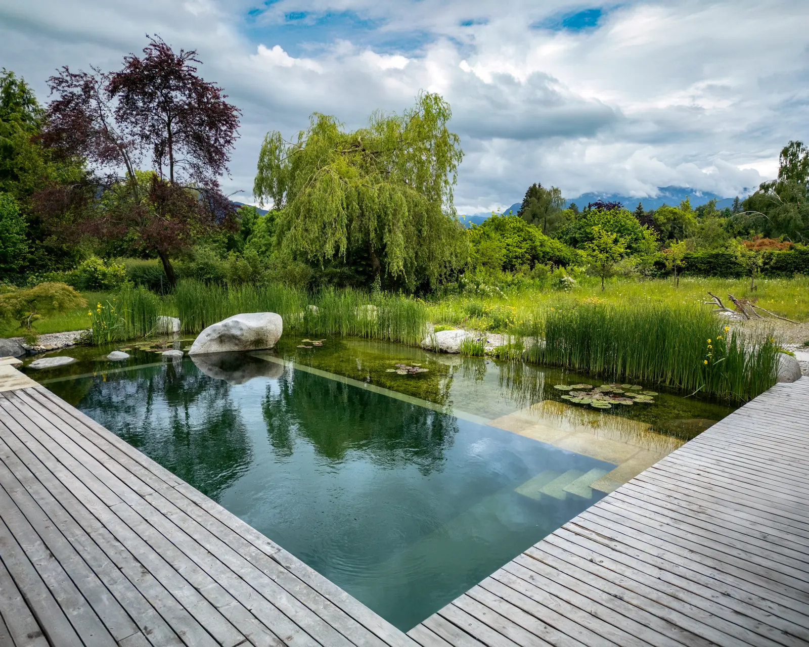 Schwimmteich in Bad Tölz mit Holzstegen, Findlingen und Trauerweide