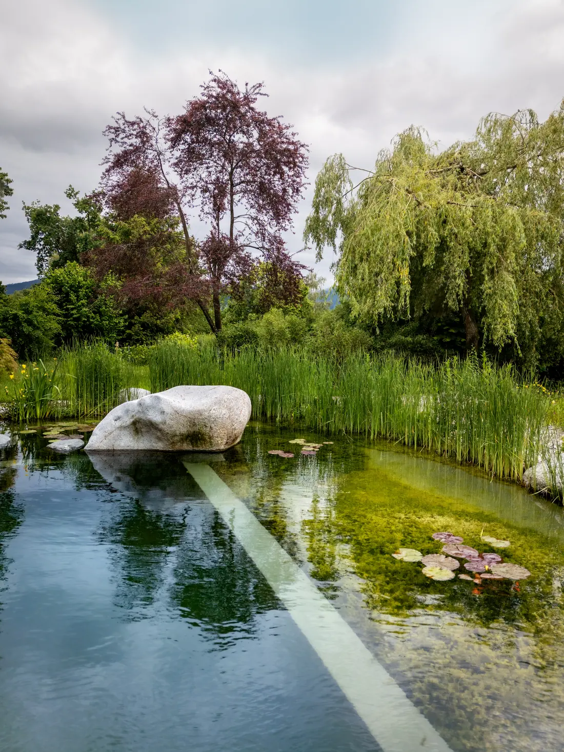 Schwimmteiche & Pools bei Fuchs baut Gärten (4)