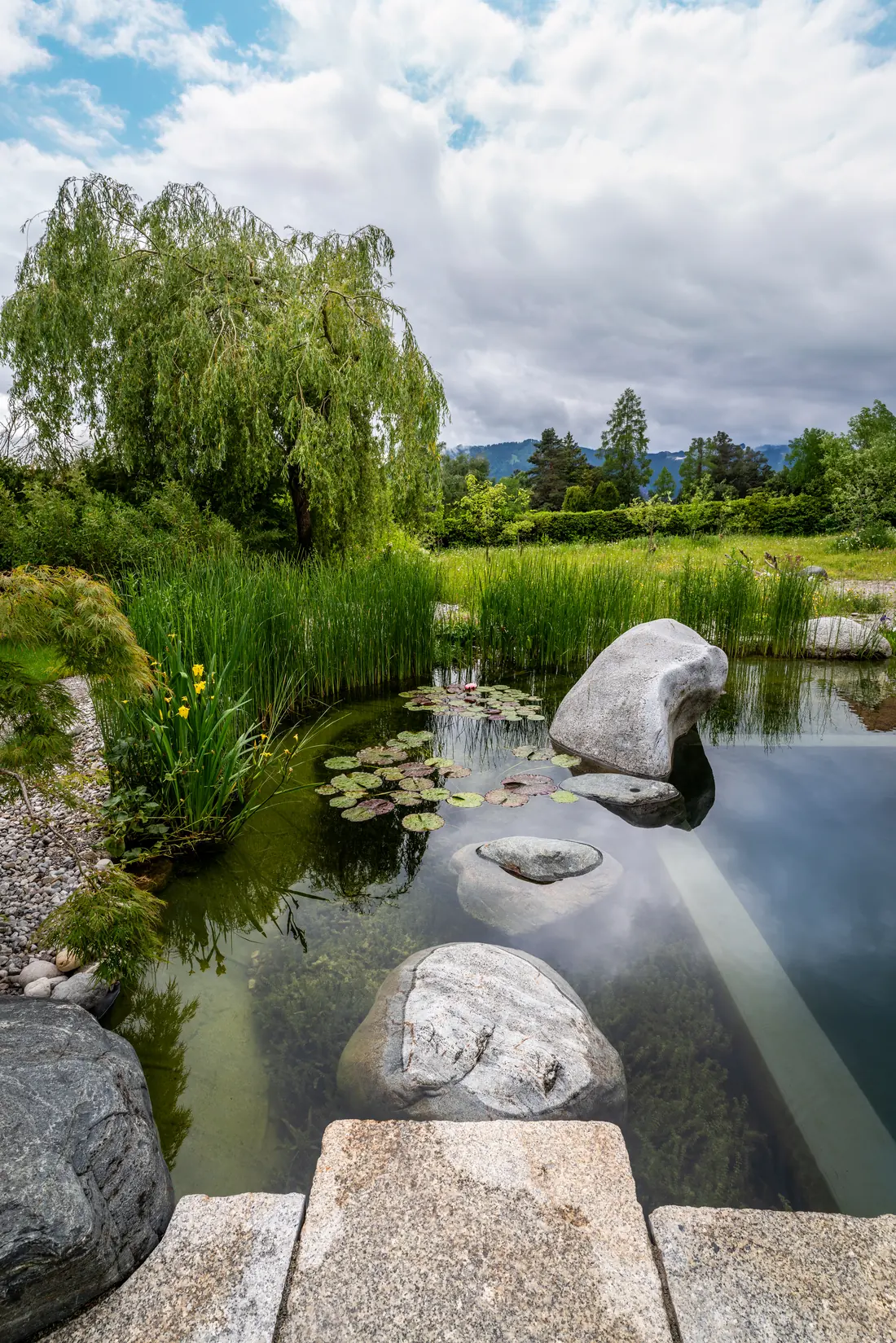 Schwimmteiche & Pools bei Fuchs baut Gärten (3)