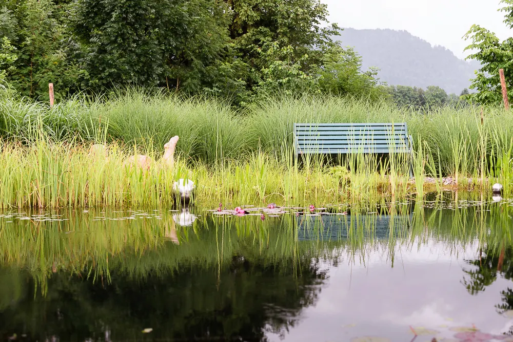 Naturnaher Schwimmteich in Wackersberg mit Schilfzone, Sitzbank und Blick auf die Berge