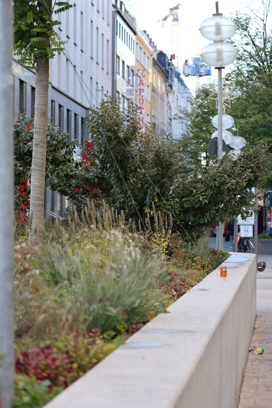Die fertige Pflanzung über die ganze Länge des Straßenzugs