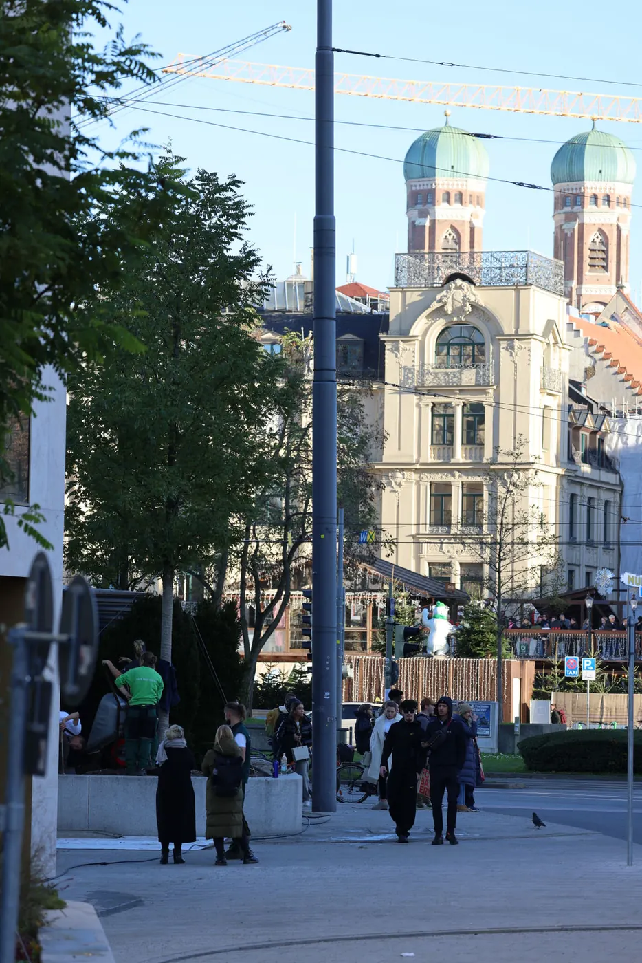 Grün in der Stadt bei Fuchs baut Gärten (6)