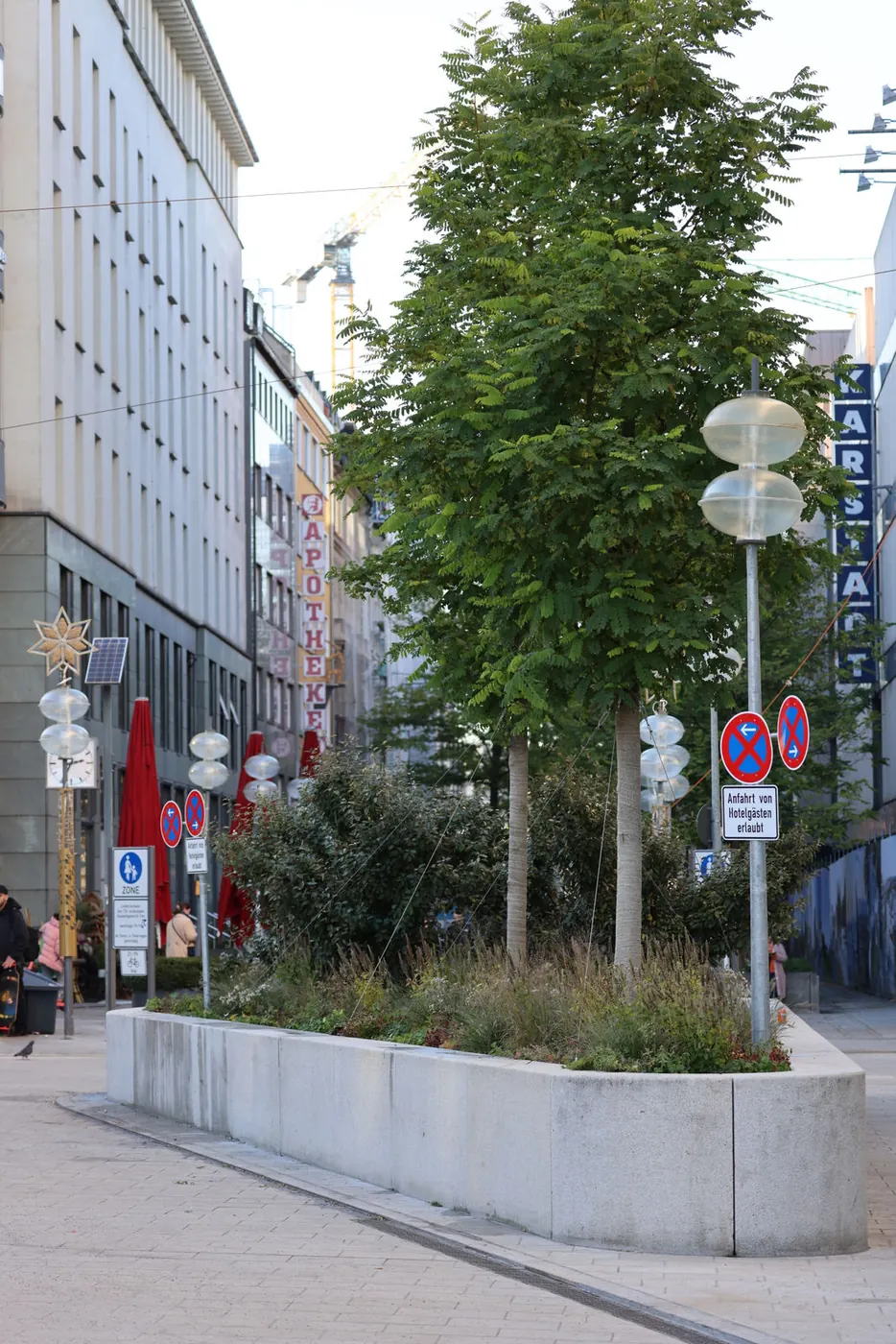 Grün in der Stadt bei Fuchs baut Gärten (5)