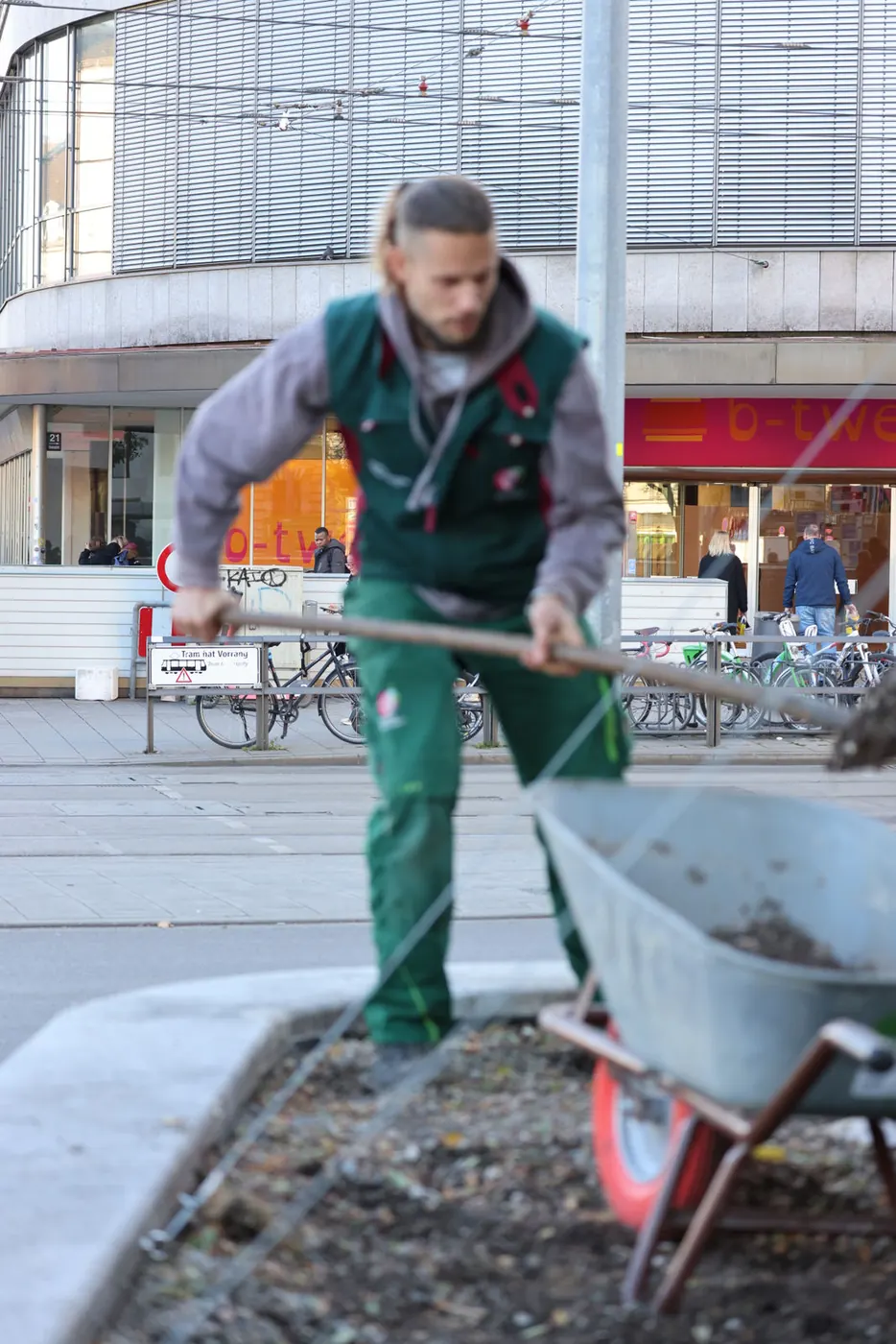 Grün in der Stadt bei Fuchs baut Gärten (2)
