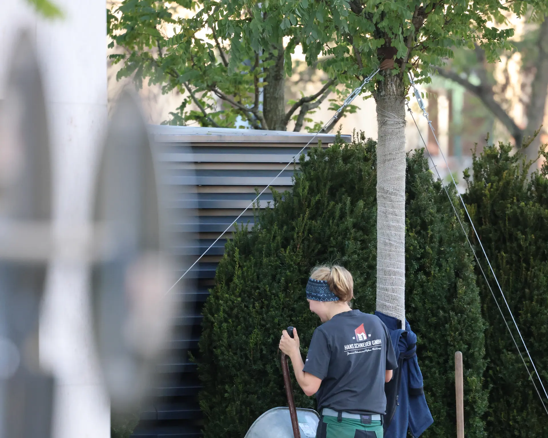 Neu gepflanzter Stadtbaum mit Stützen, Landschaftsgärtner mit Schubkarre in der Münchner Innenstadt