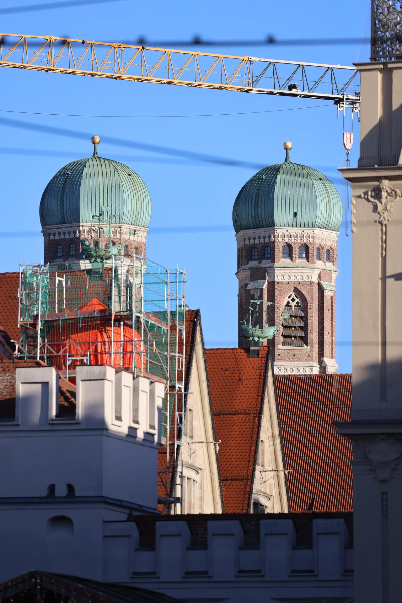 Grün in der Stadt bei Fuchs baut Gärten (3)