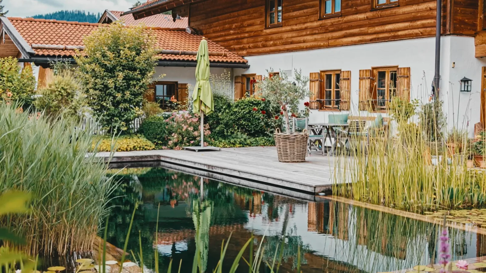 Schwimmteich-Pflege