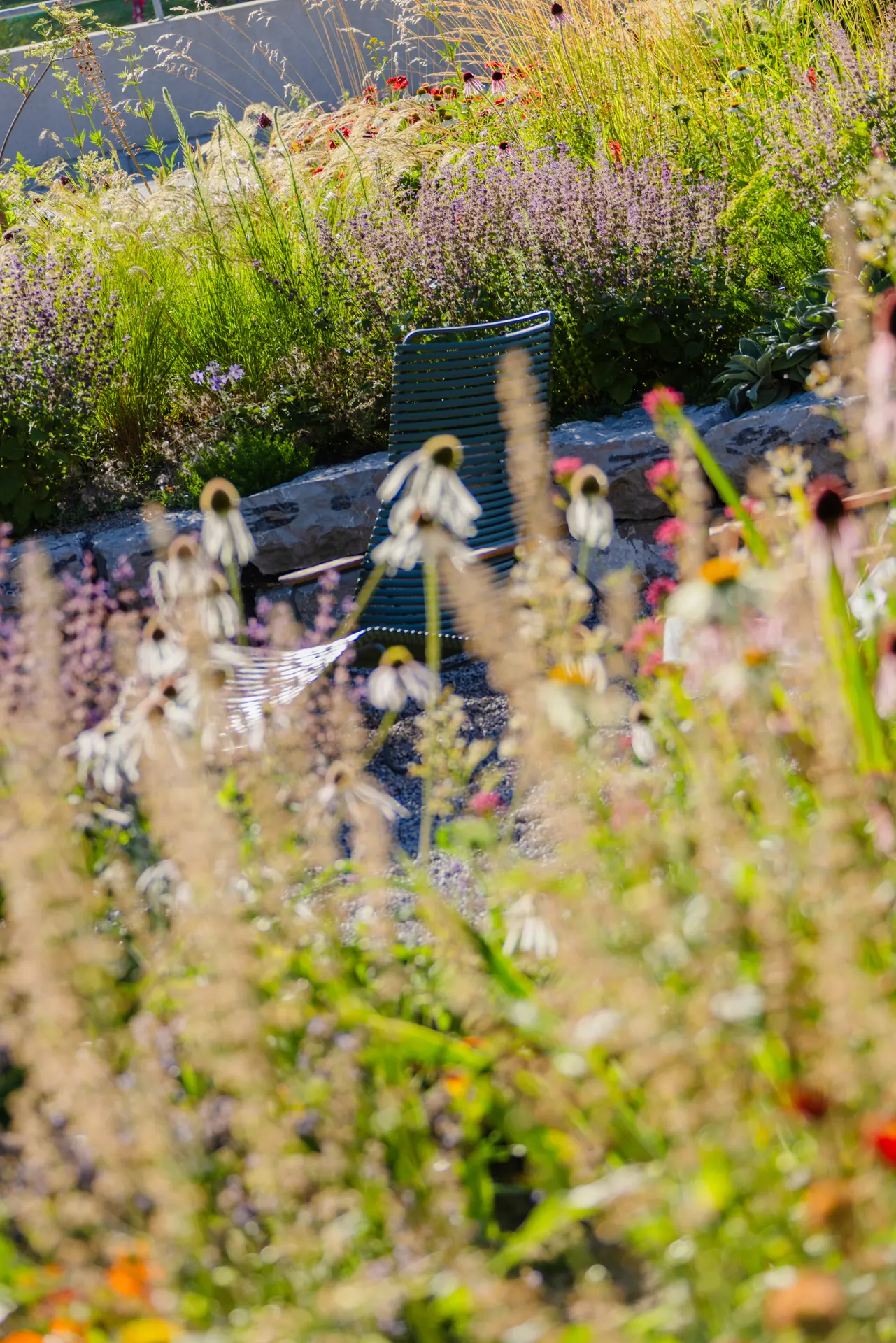 Staudenbeet mit Echinacea und Gräsern, Sitzplatz an einer Natursteinmauer