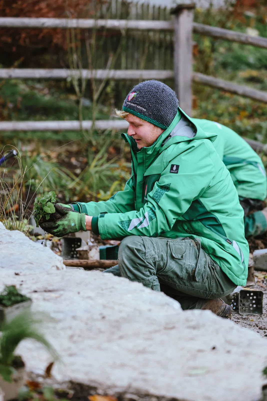 Landschaftsgärtner pflanzt kniend am Rand einer Natursteinplatte