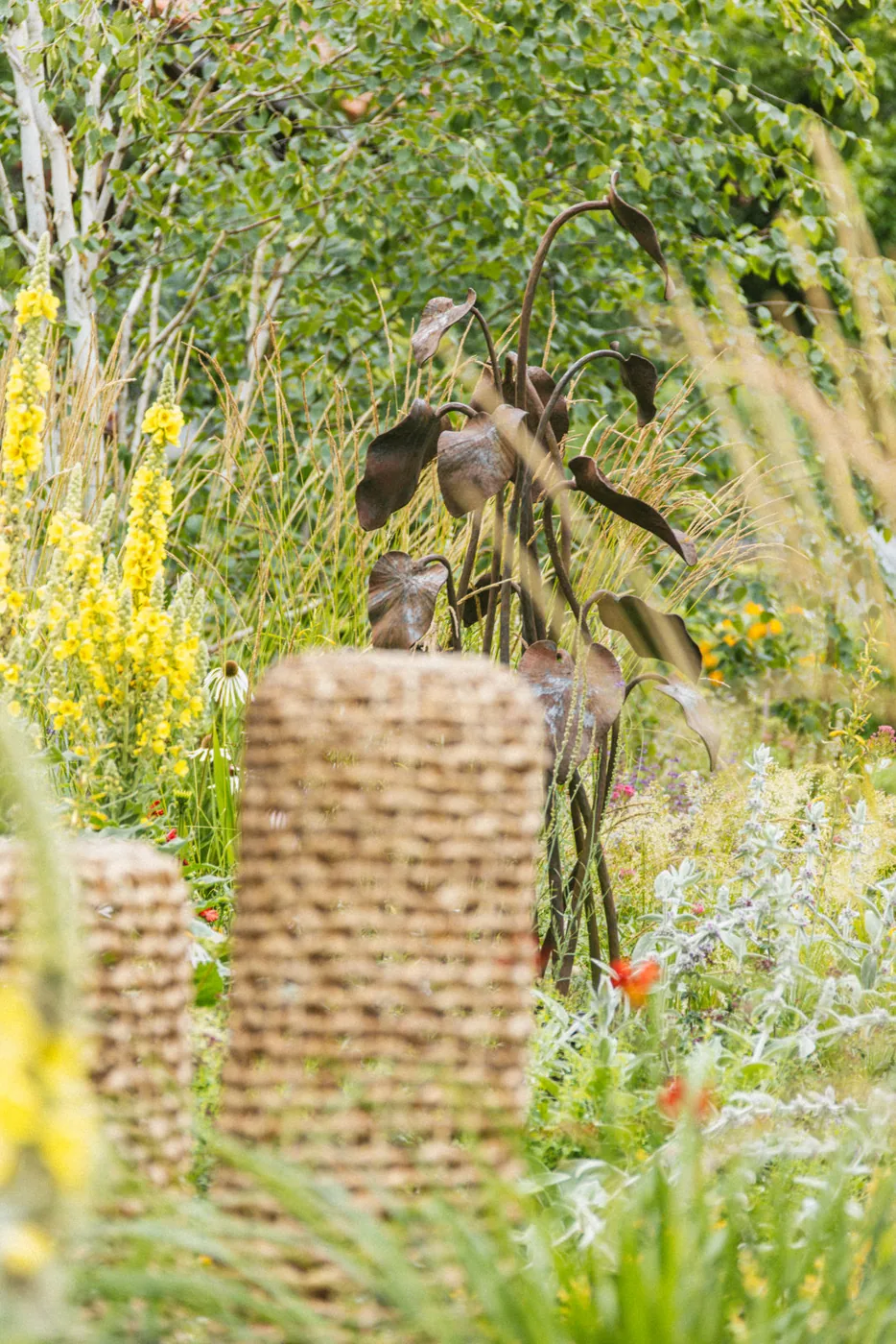 Staudengarten mit Gartenkunst, Königskerzen und Gräsern