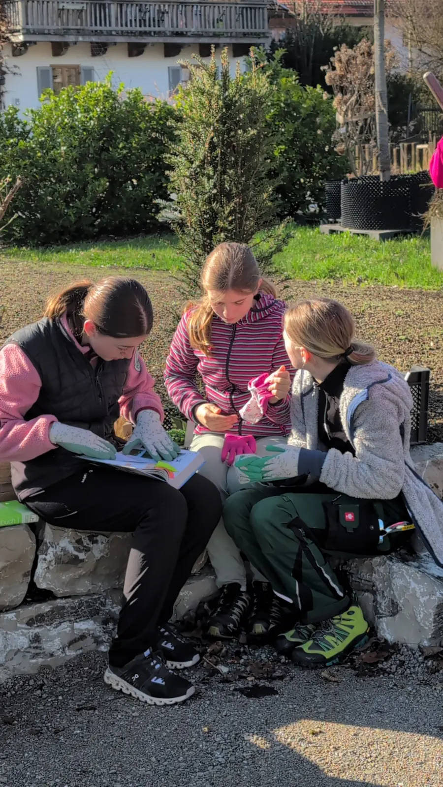 Drei Teilnehmerinnen des Girls’Day studieren auf einer Trockenmauer ein Pflanzenbuch