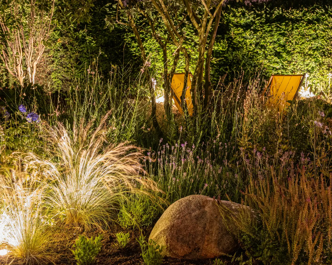 Beleuchtete Ziergräser und Stauden in einem Garten in Wolfratshausen bei Abendlicht
