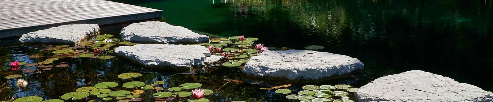 Schwimmteich bei Fuchs baut Gärten (7)